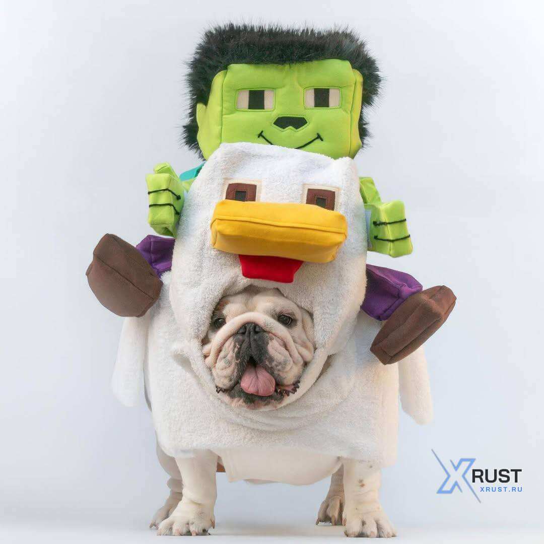 Chicken Jockey costume for dogs