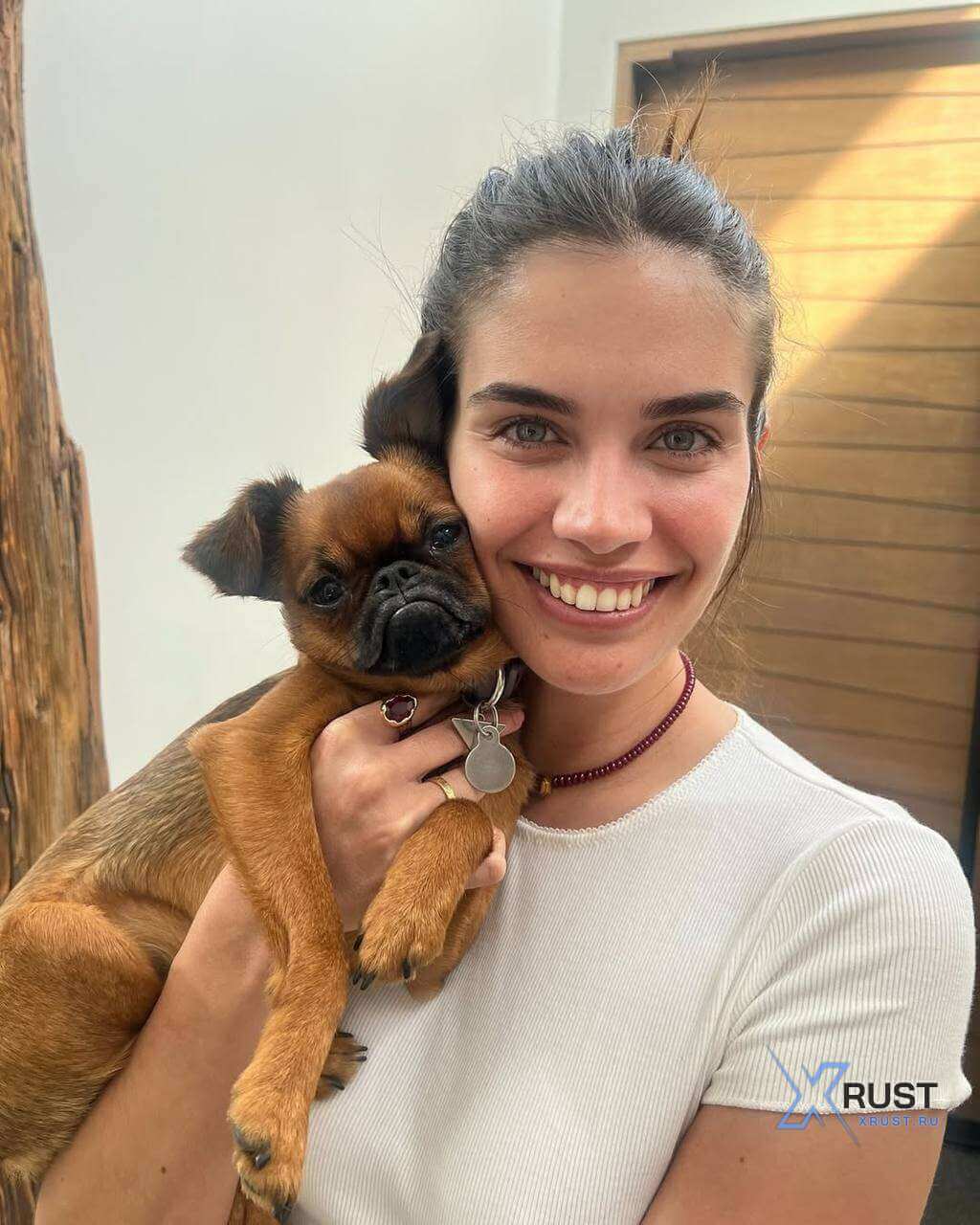 When the world outside falls apart: $10,000 for a wagging rescue