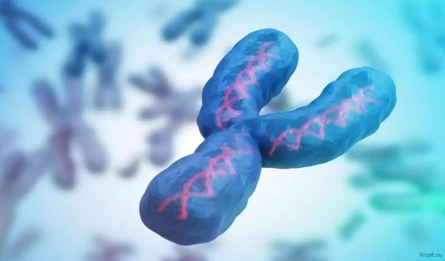 Men Will Be the Cause of Humanity's Extinction – The Y Chromosome Is Failing