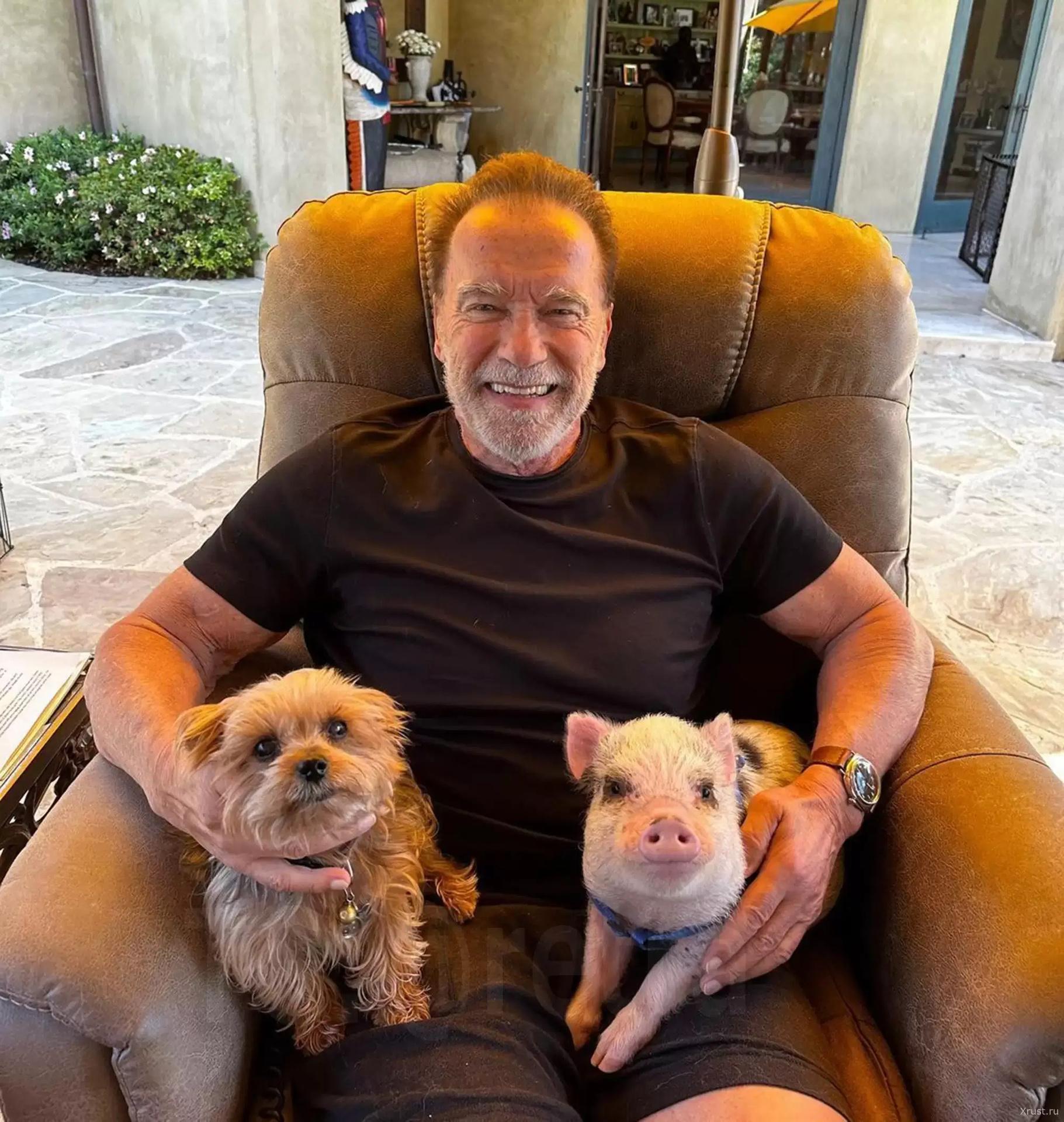When Iron Arnie Finds Solace in Soft Noses: Schwarzenegger's Animal Therapy