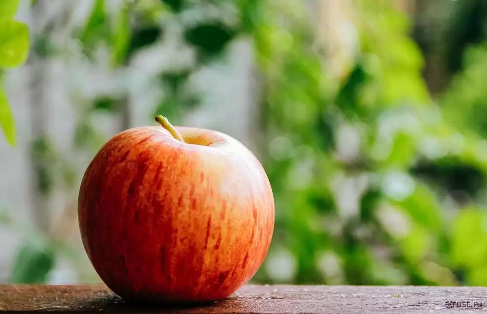 An apple a day and doctors will be unemployed