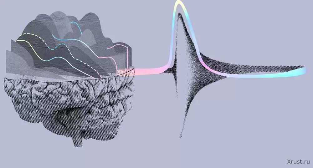 Neuralink has begun clinical trials of brain-implantable chips